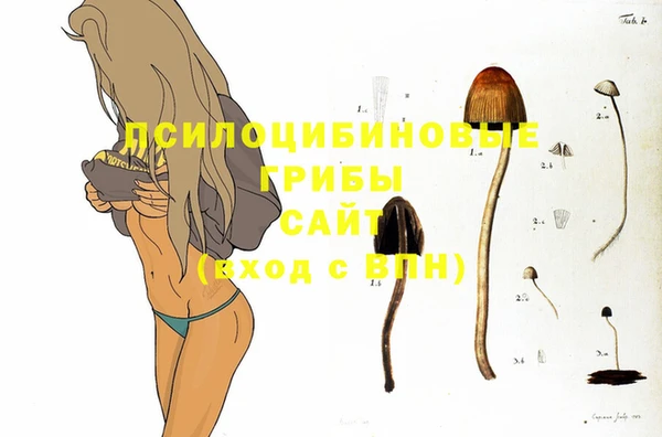 ешки Армянск