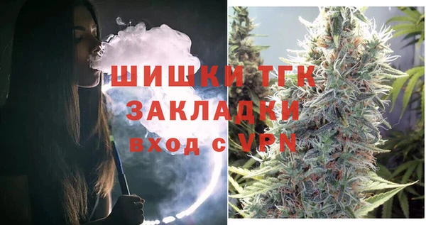 ПСИЛОЦИБИНОВЫЕ ГРИБЫ Арсеньев