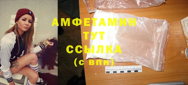дмт Богданович