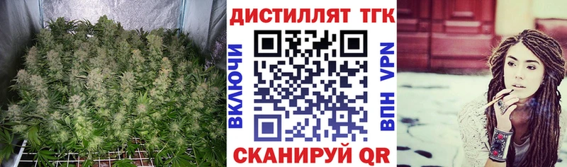 магазин продажи Полярные Зори ТГК концентрат